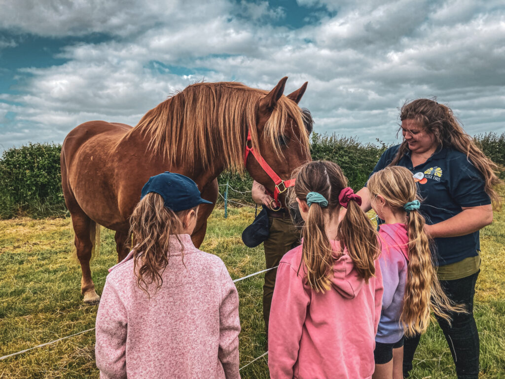 An Open Farm Sunday gathering