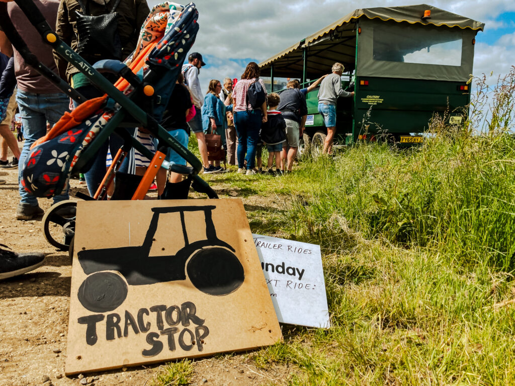 Visitors exploring the farm